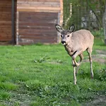 Napfény * Taliandorogd