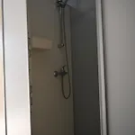 Napfény *