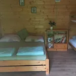 Napfény * Taliandorogd