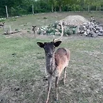 Napfény Taliandorogd