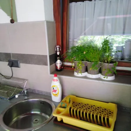 Napfeny Taliandorogd