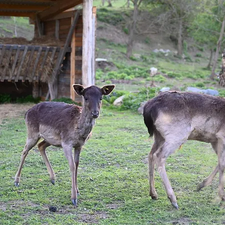 مكان تخييم Napfeny *