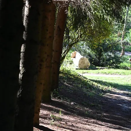 Campsite Napfeny Taliandorogd