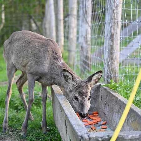 Napfeny Κάμπινγκ