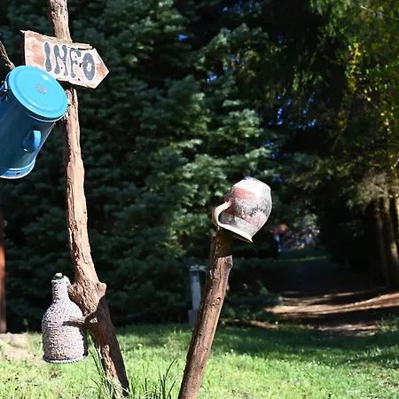 Kamp alanı Napfeny *