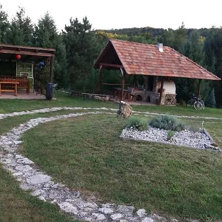 Napfeny * Taliandorogd