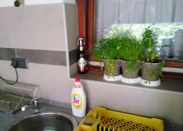 Napfeny Taliandorogd