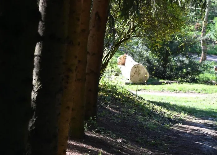 Camping Napfeny Taliandorogd