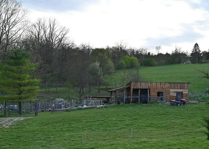 Napfény *