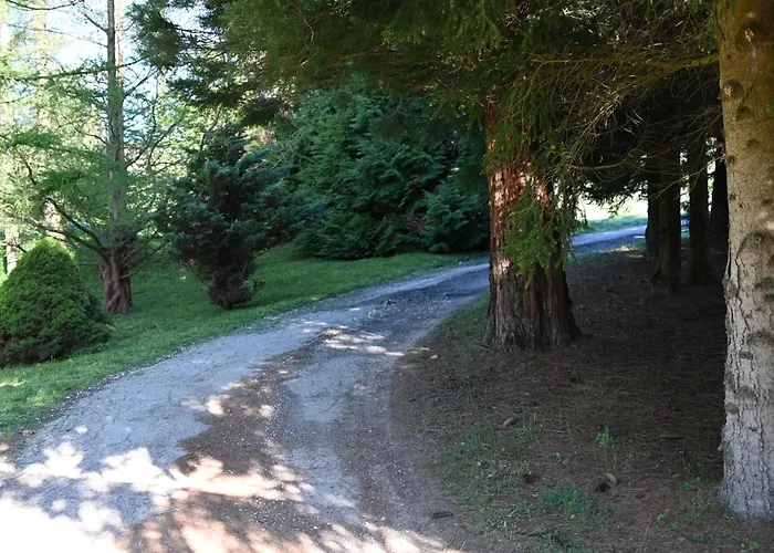 Camping Napfény