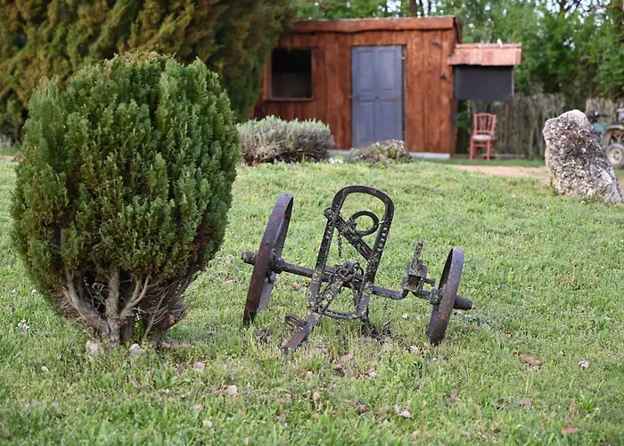 Camping Napfény