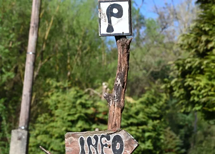 Camping Napfény *