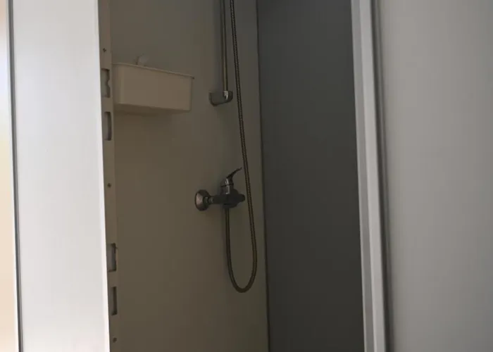 Napfény *