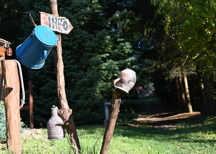 Camping Napfény *