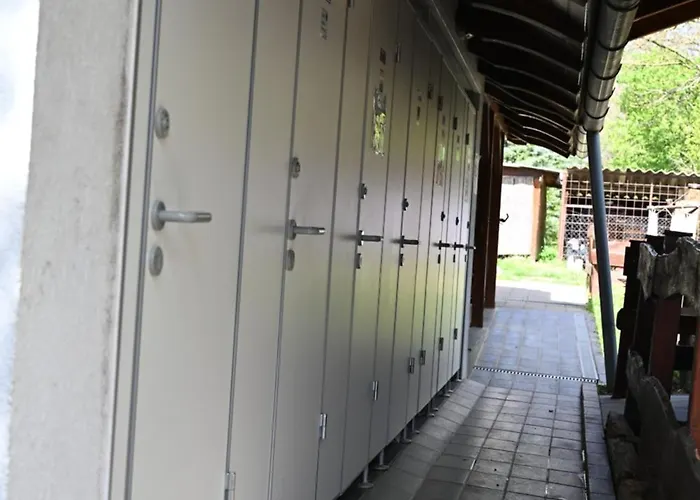 Napfeny * Taliandorogd