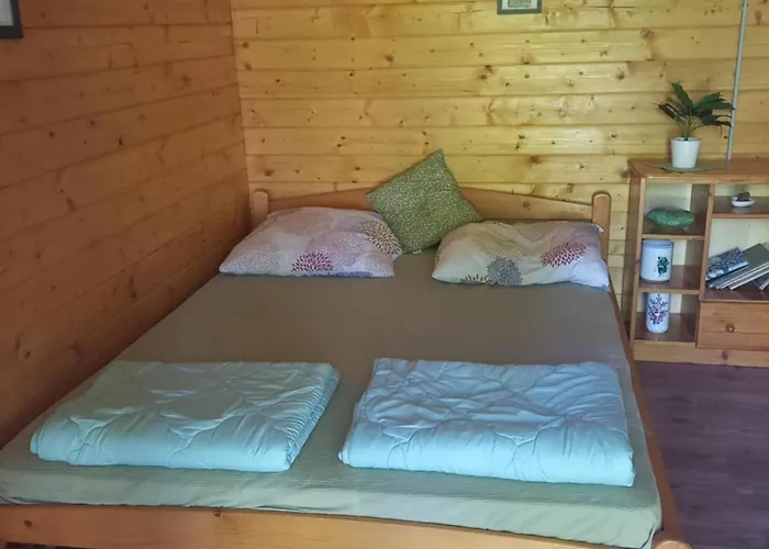 Napfény Taliandorogd
