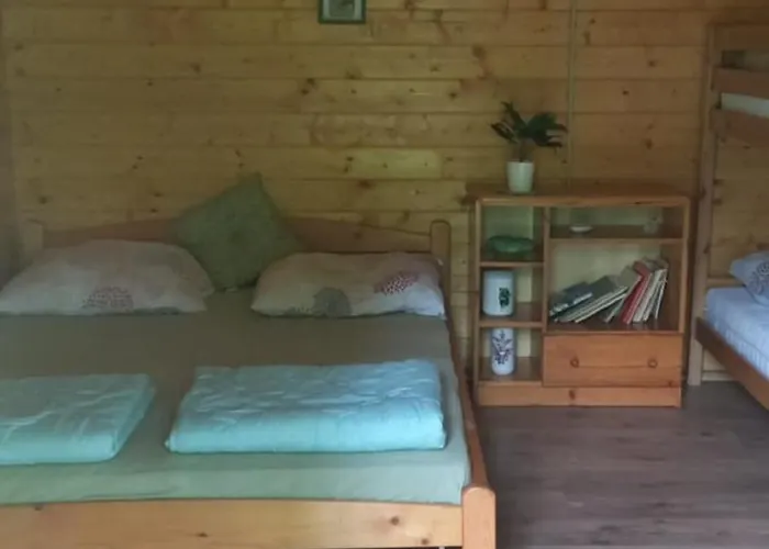 Napfeny * Taliandorogd