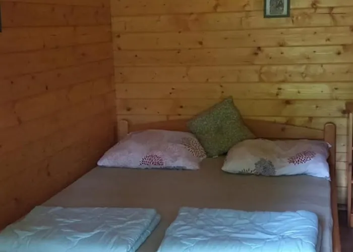 Napfény *