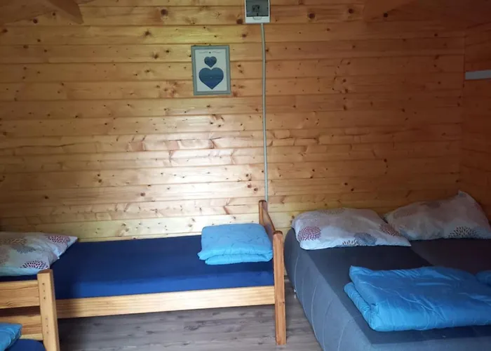 Napfény