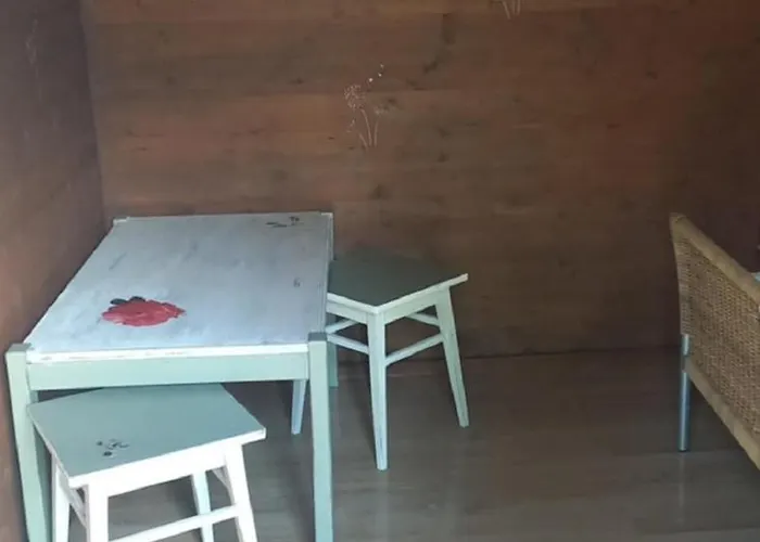 Napfeny * Taliandorogd