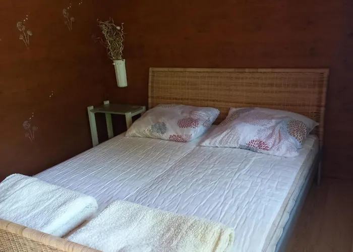 Napfény Camping