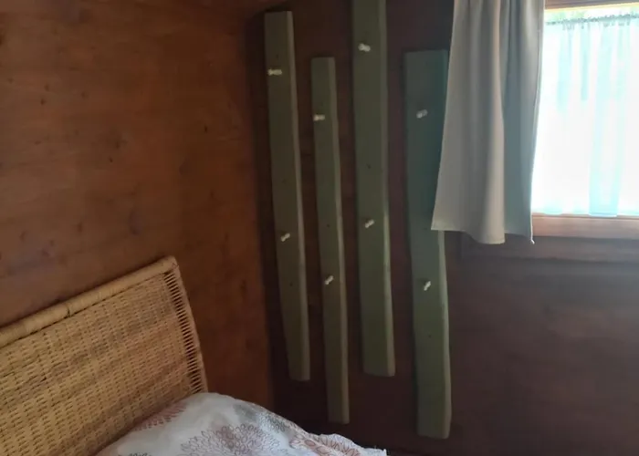 Napfény Taliandorogd